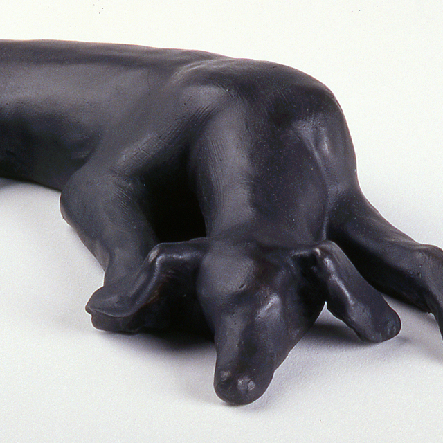 Sleeping Saluki Dog (detail)